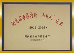 专精特新“小巨人”